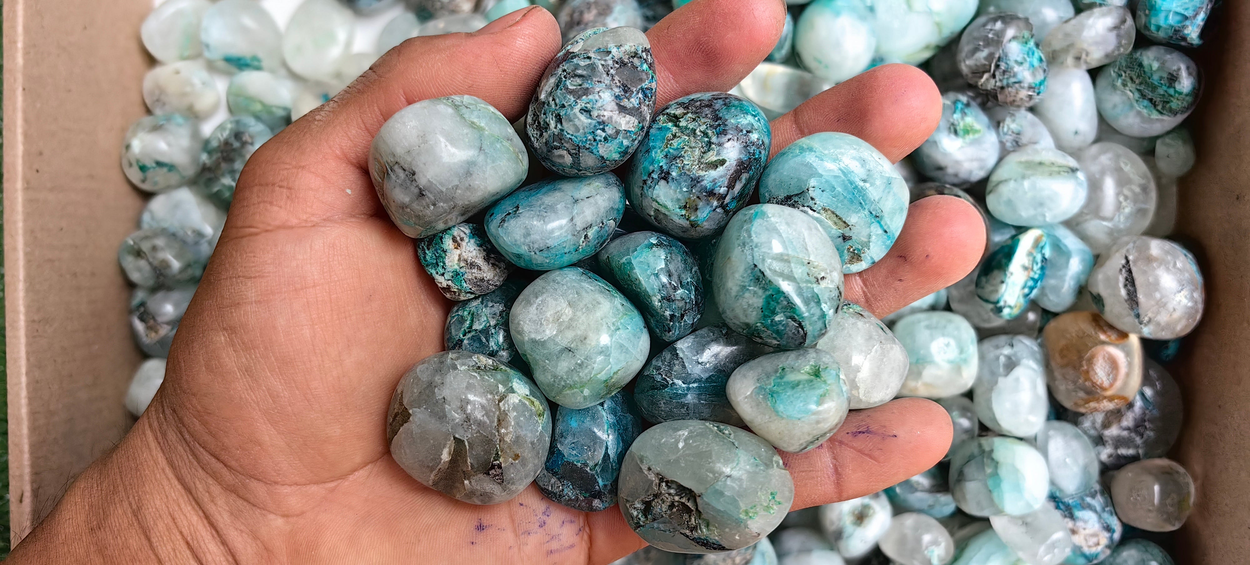 Lot 3 Kg Chrysocolla Quartz Tumbled