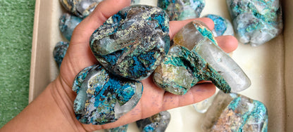 Lot 20 pcs Chrysocolla on Quartz Free Form