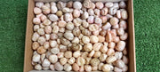 Lot 3.2 Kg Pink Opal Tumbled