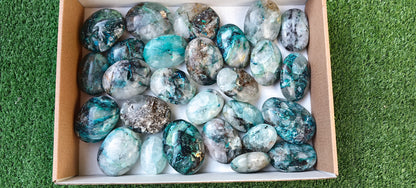 Lot 27 pc Chrysocolla Quartz Palm