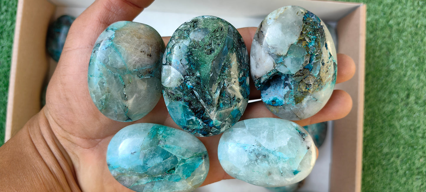 Lot 27 pc Chrysocolla Quartz Palm