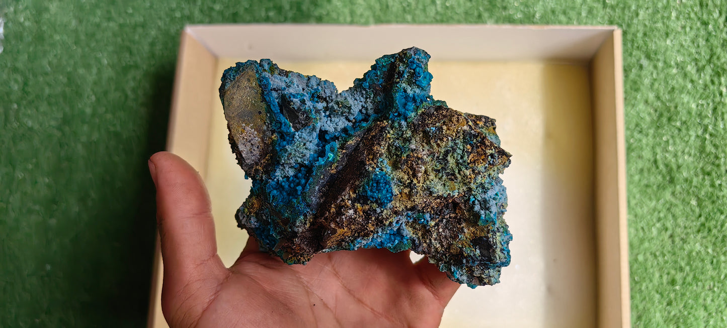 Lot 1 pc Chrysocolla on Quartz