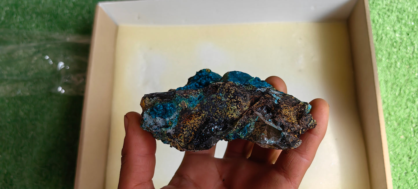 Lot 1 Chrysocolla on Quartz