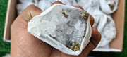 Lot 13 Pcs Pyrite with Calcite*