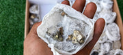 Lot 42 Pcs Pyrite with Calcite*