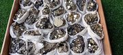 Lot 26 pieces Pyrite with Sphalerite**