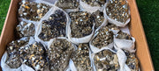 Lot 16 pieces Pyrite with Sphalerite**