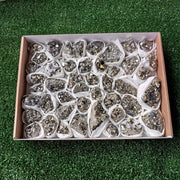Flat pyrite Octahedral