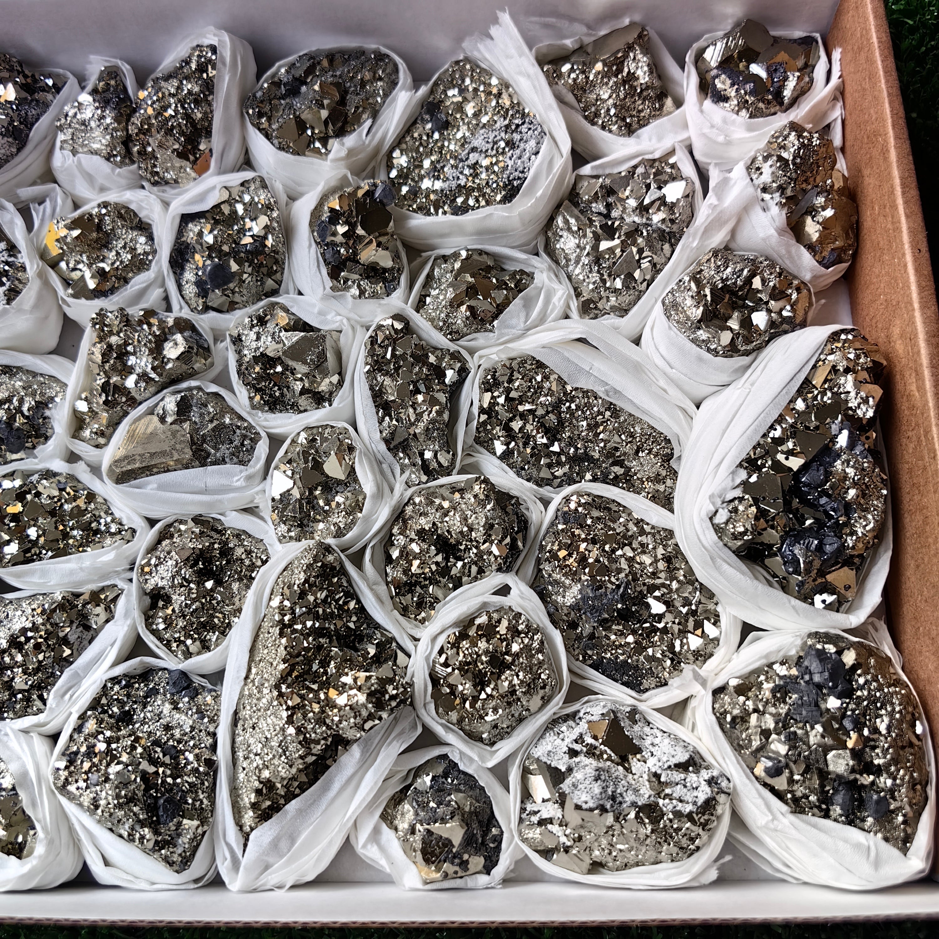 Flat pyrite Octahedral