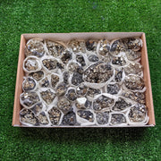 Box pyrite Octahedral