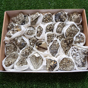 Box pyrite Octahedral