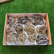 Box pyrite Octahedral