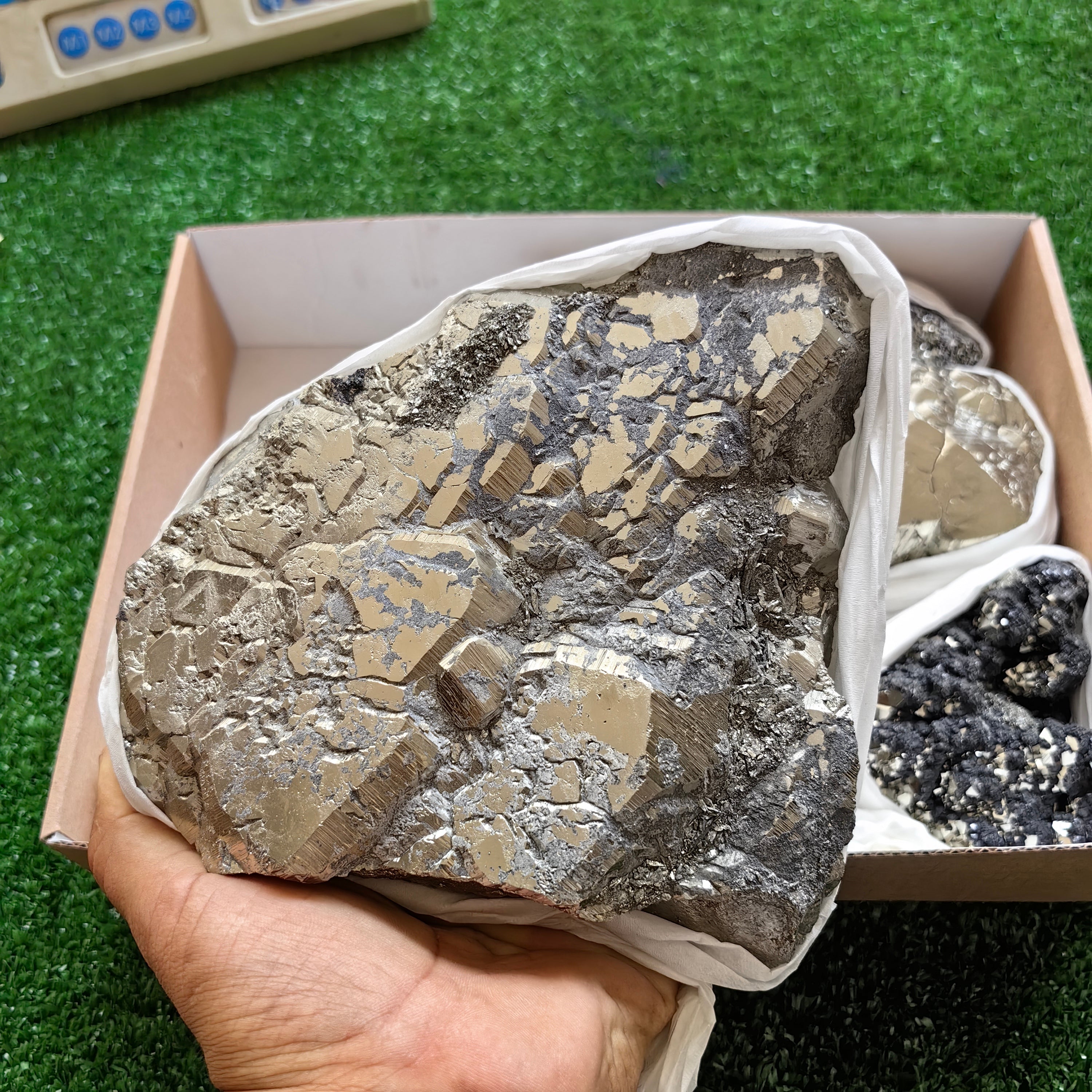 Box pyrite Octahedral