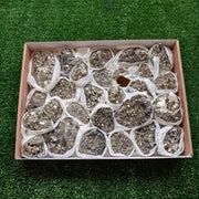 Box pyrite Octahedral
