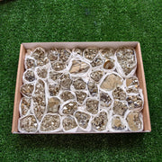 Box pyrite Octahedral