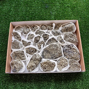 Box pyrite Octahedral