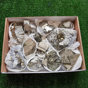 Box pyrite cubic
