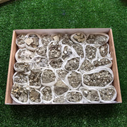 Box pyrite Octahedral