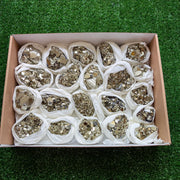 Box pyrite Octahedral