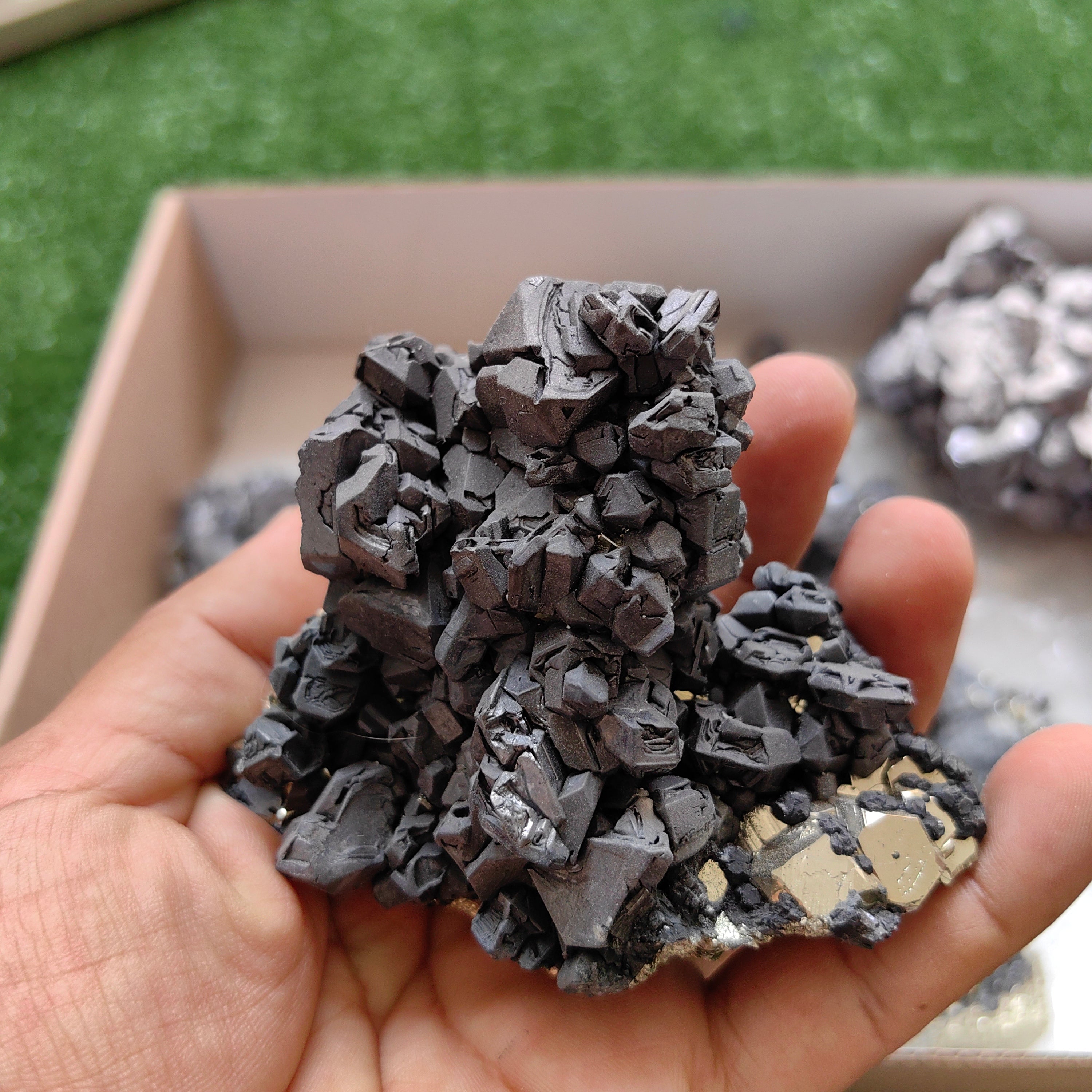 Box galena with pyrite Octahedral