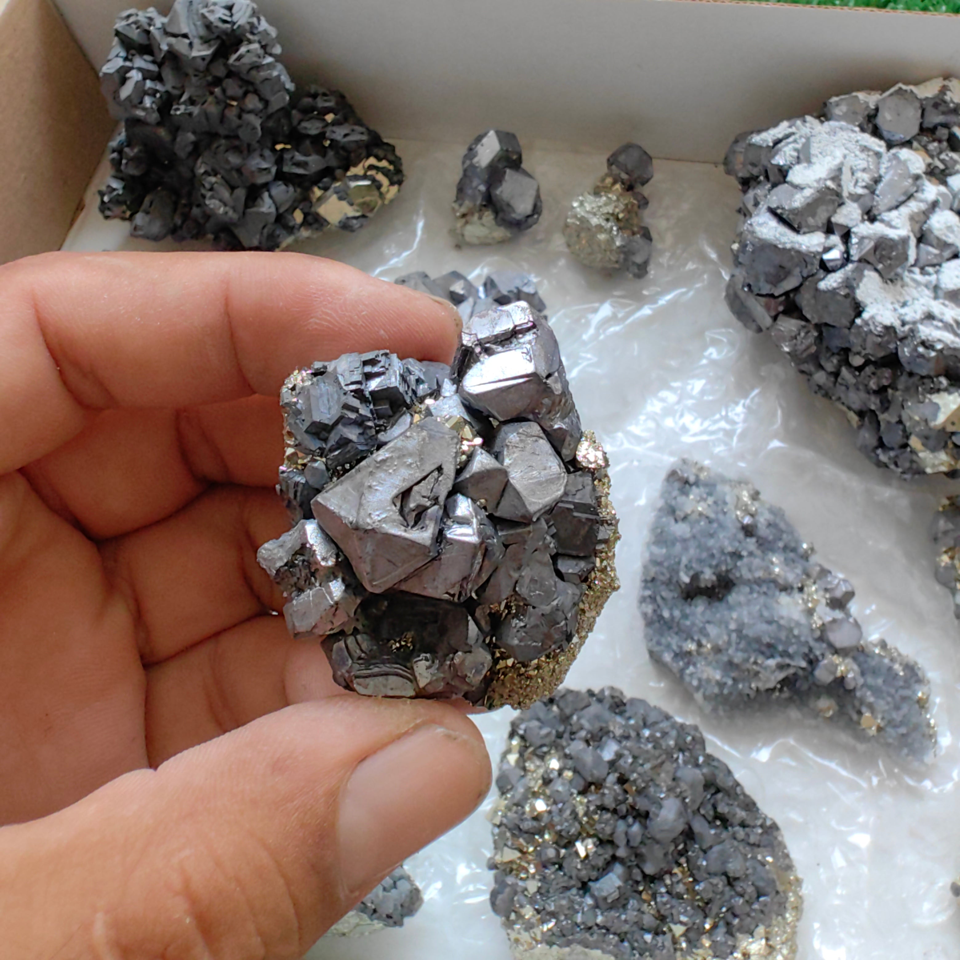 Box galena with pyrite Octahedral