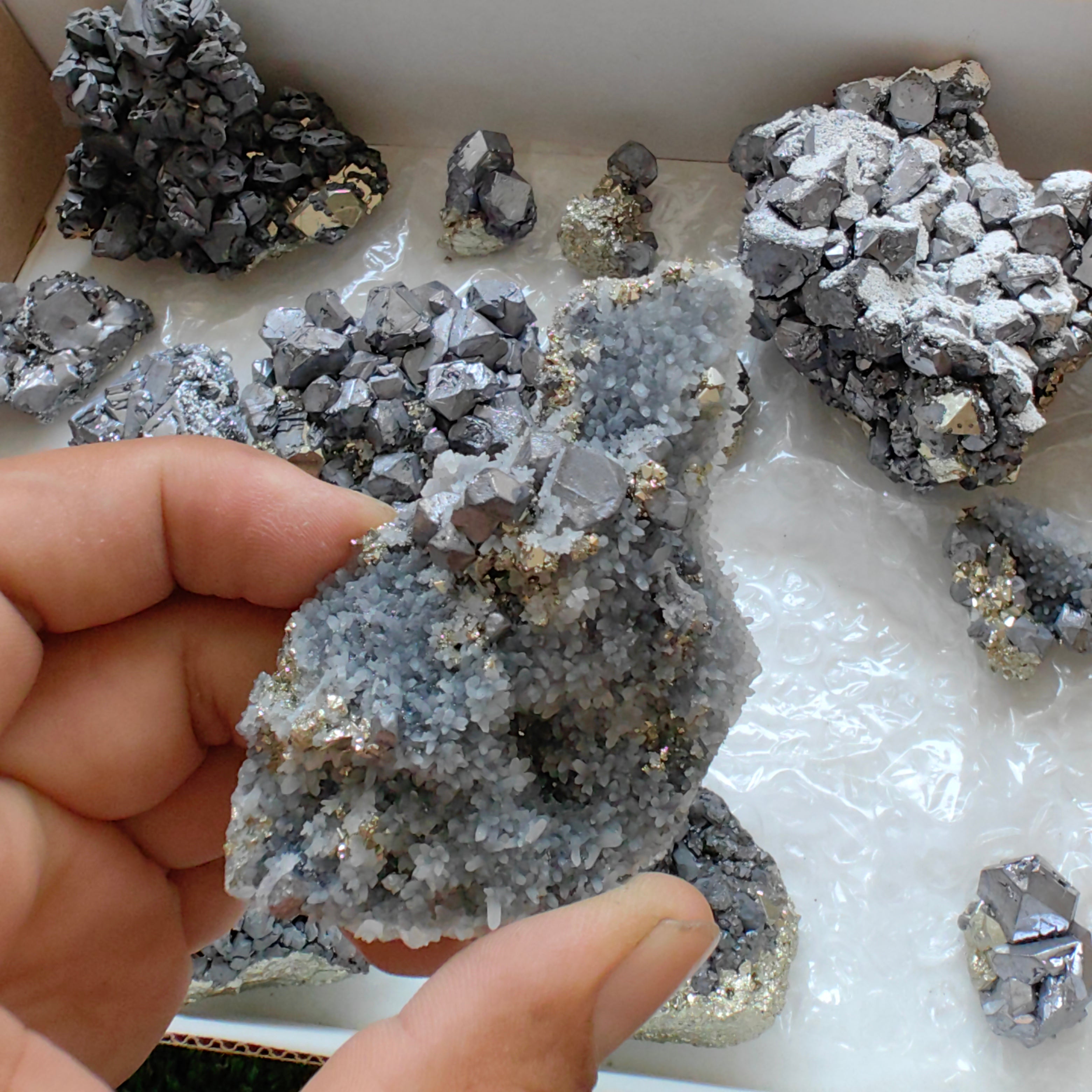Box galena with pyrite Octahedral