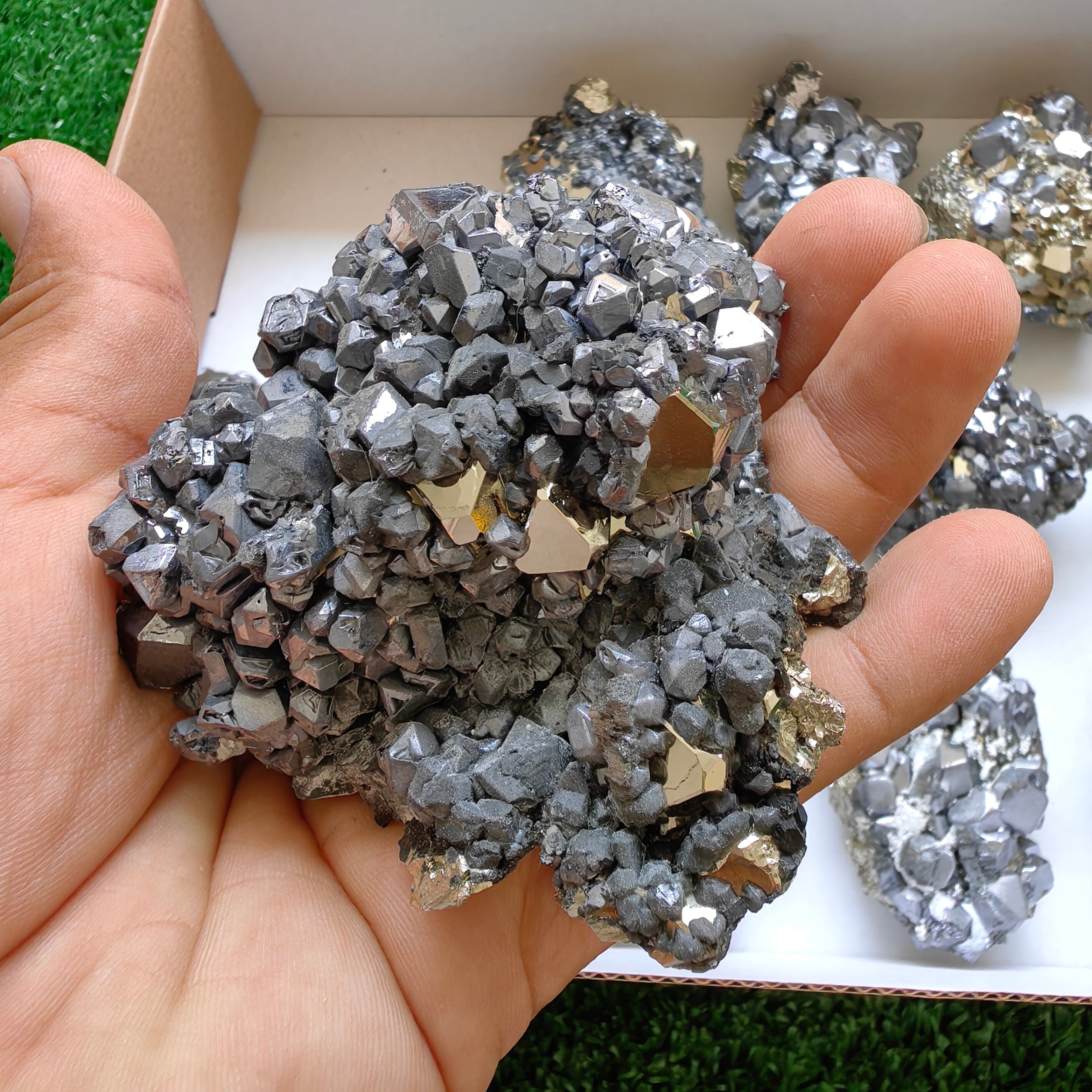 Box galena with pyrite Octahedral