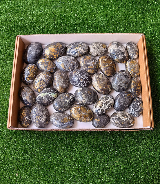 Lot 31 pcs Covellite palm*