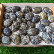 Lot 30 pcs Covellite Palms*