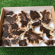 Lot 15 pcs Agatized Fossilized Wood Slices*