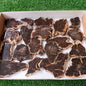 Lot 19 pcs Agatized Fossilized Wood Slices*