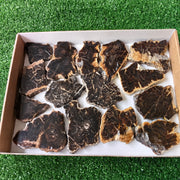 Lot 15 pcs Agatized Fossilized Wood Slices*