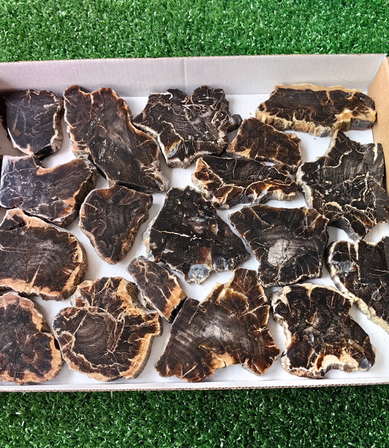Lot 18 pcs Agatized Fossilized Wood Slices*