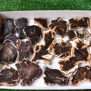 Lot 19 pcs Agatized Fossilized Wood Slices*