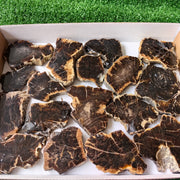Lot 17 pcs Agatized Fossilized Wood Slices*