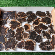 Lot 30 pcs Agatized Fossilized Wood Slices*