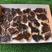 Lot 24 pcs Agatized Fossilized Wood Slices*