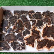 Lot 26 pcs Agatized Fossilized Wood Slices*