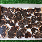 Lot 26 pcs Agatized Fossilized Wood Slices*