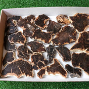 Lot 22 pcs Agatized Fossilized Wood Slices*