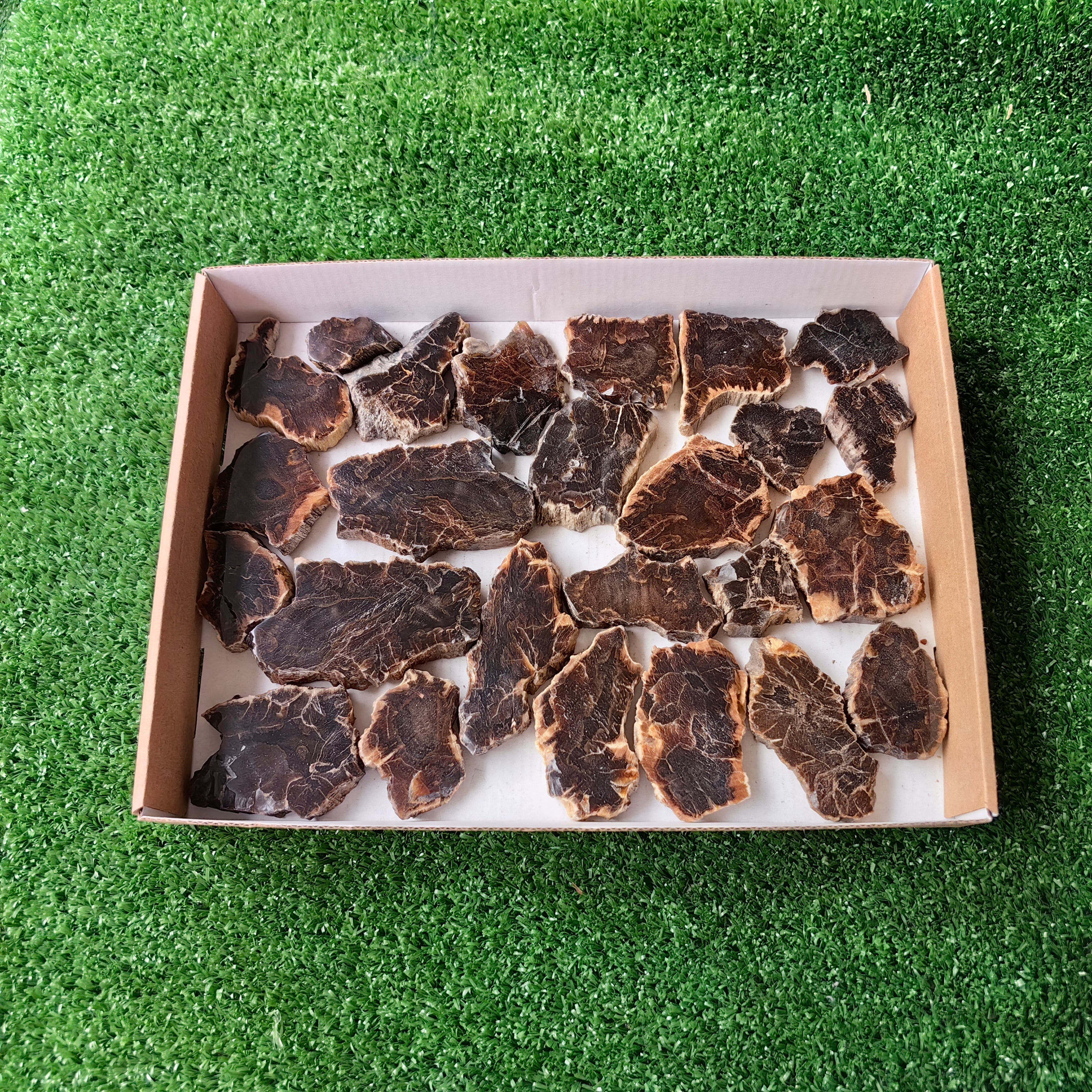 Lot 25 pcs Agatized Fossilized Wood Slices*