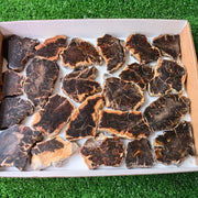 Lot 22 pcs Agatized Fossilized Wood Slices*