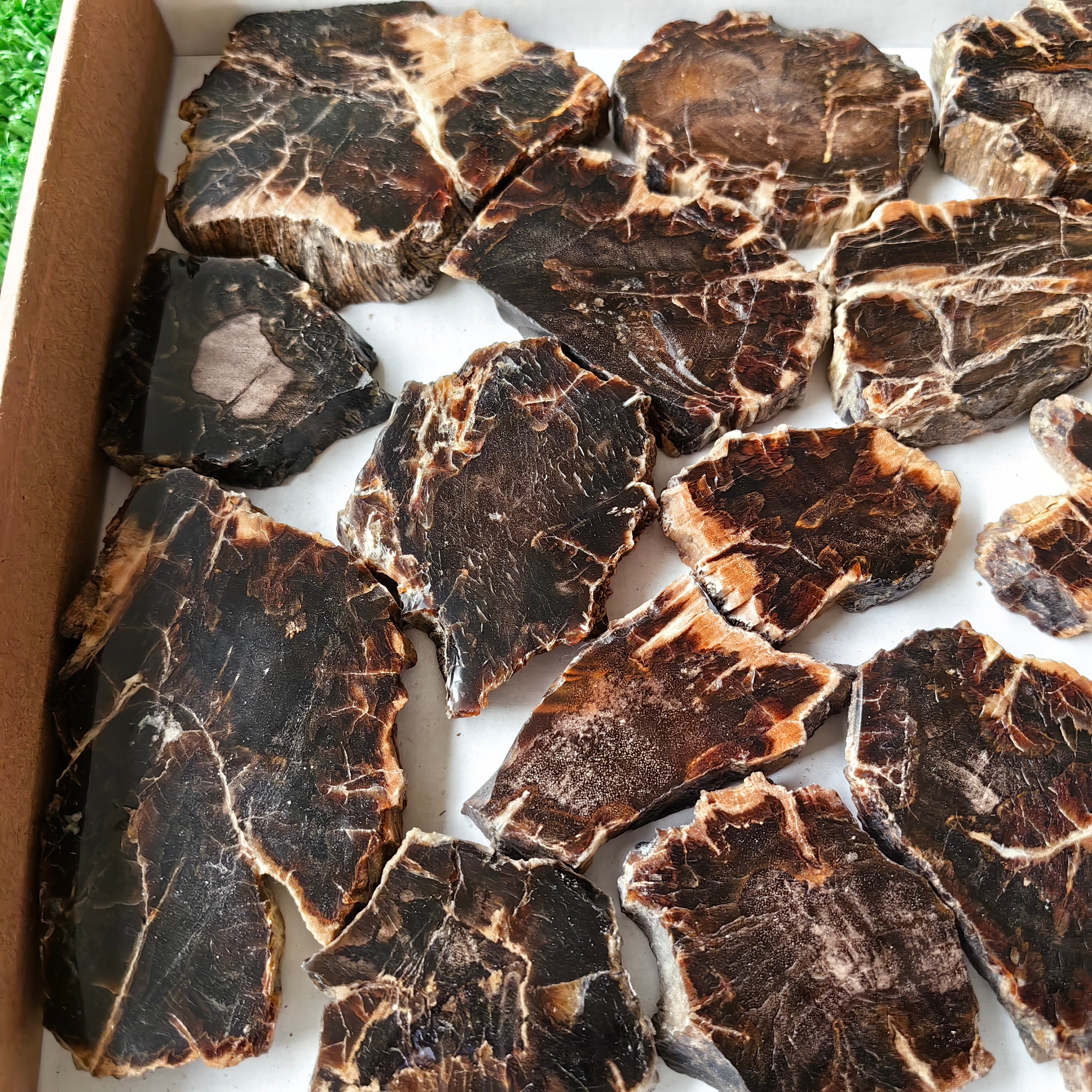 Lot 20 pcs Agatized Fossilized Wood Slices*