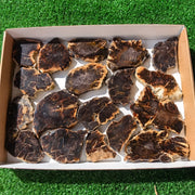 Lot 18 pcs Agatized Fossilized Wood Slices*