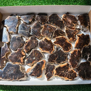 Lot 28 pcs Agatized Fossilized Wood Slices*