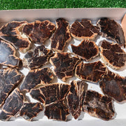 Lot 18 pcs Agatized Fossilized Wood Slices*