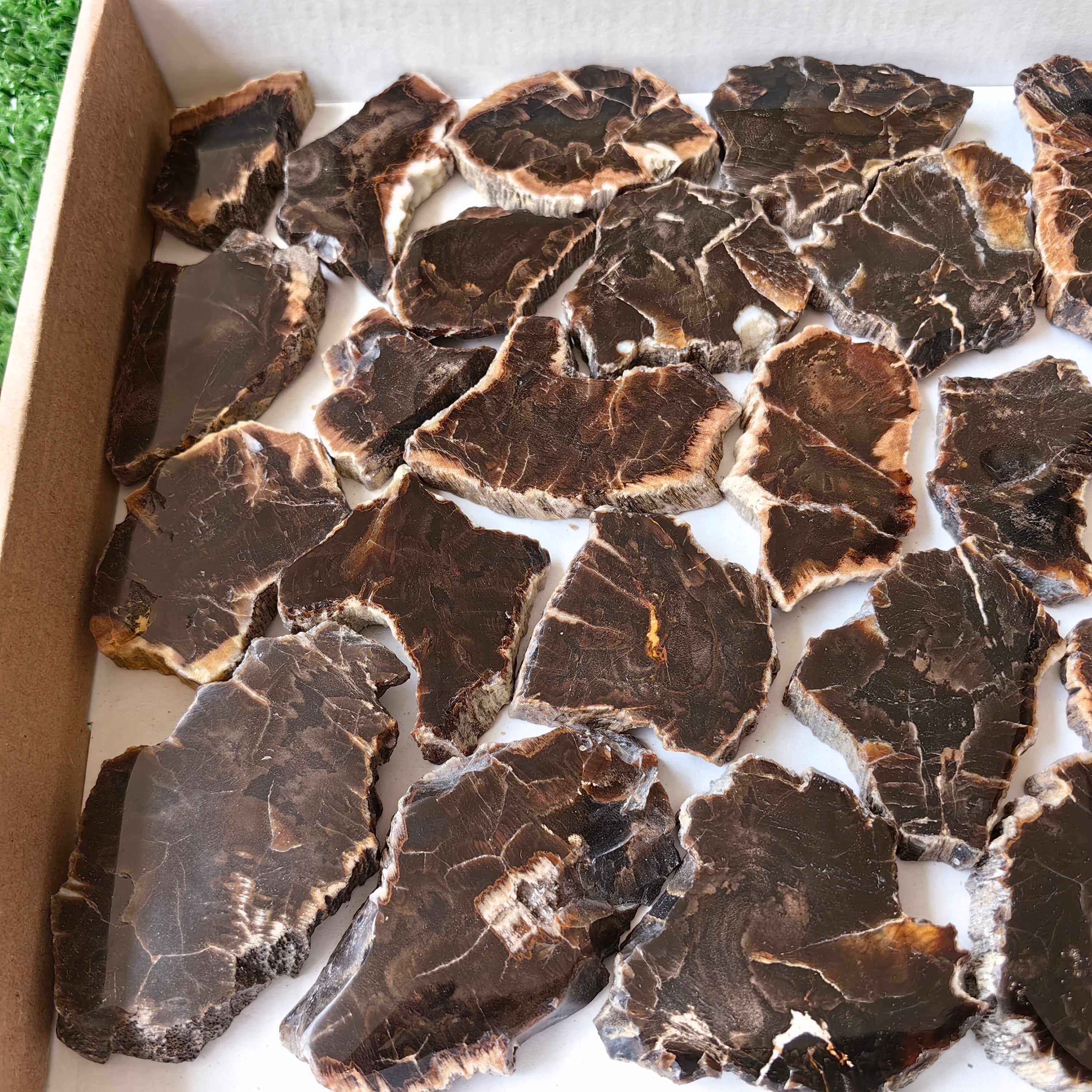 Lot 27 pcs Agatized Fossilized Wood Slices*