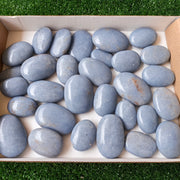 Lot 30 pcs Angelite Palm*