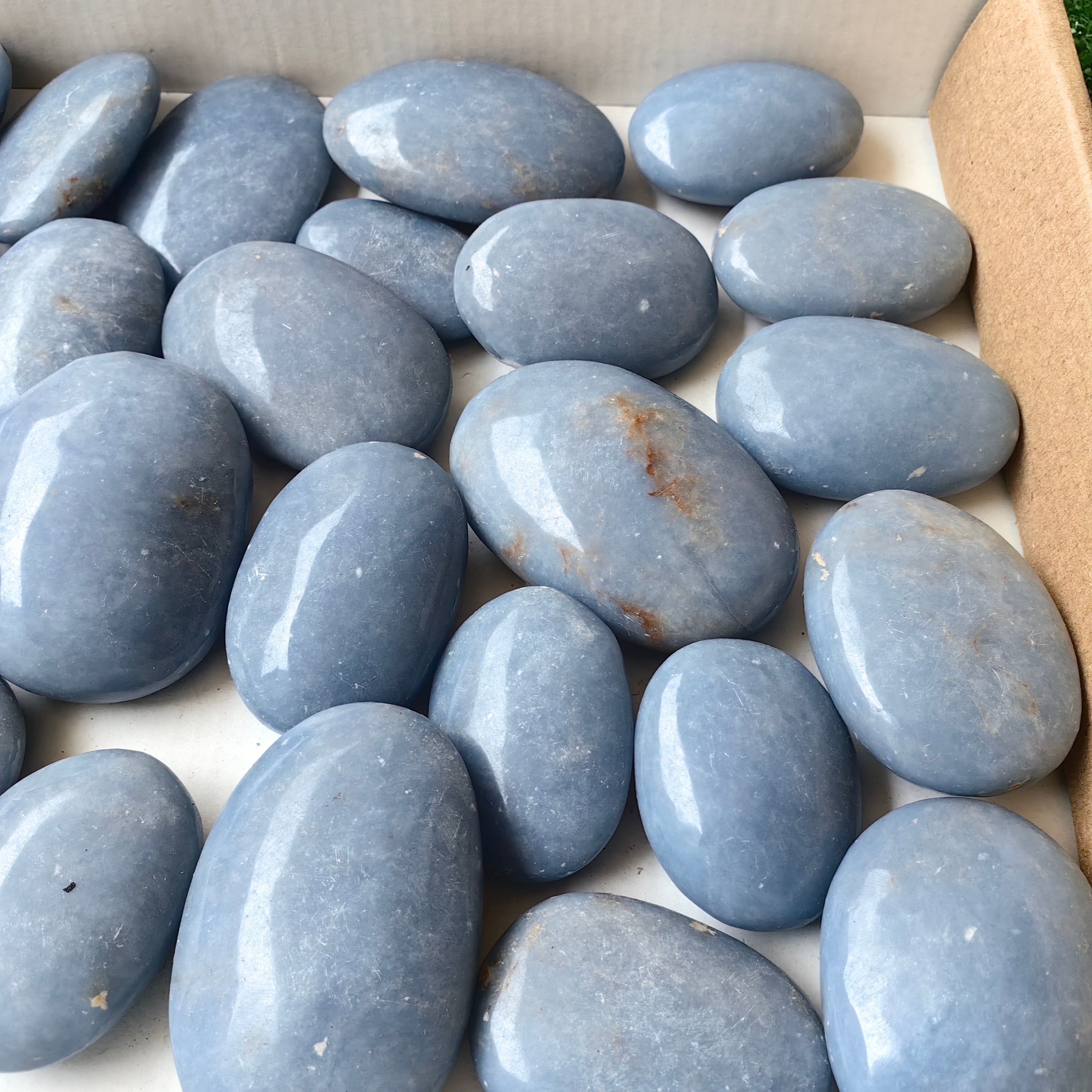 Lot 30 pcs Angelite Palm*