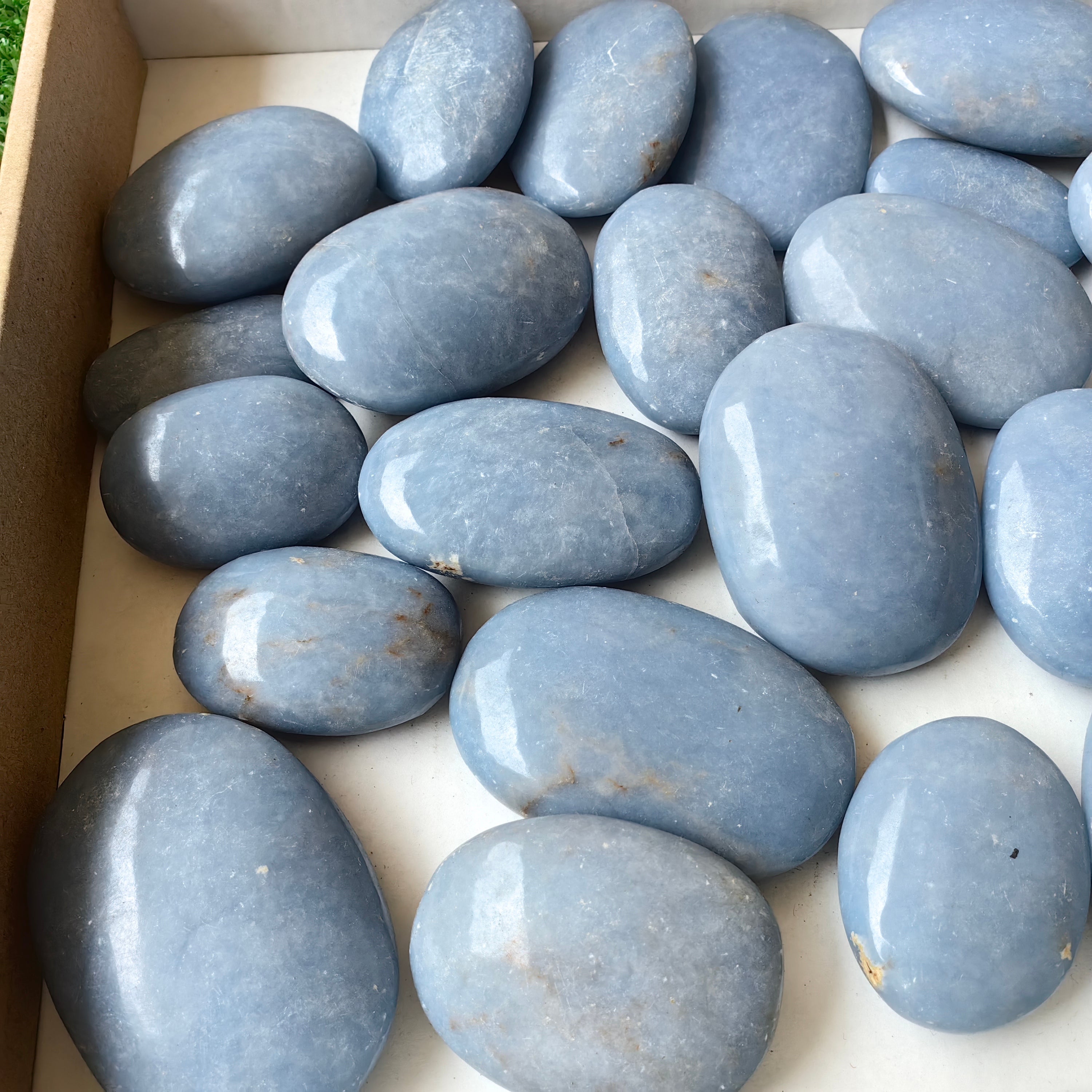 Lot 30 pcs Angelite Palm*